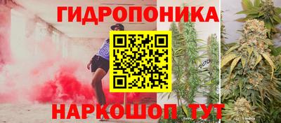 дмт Тара