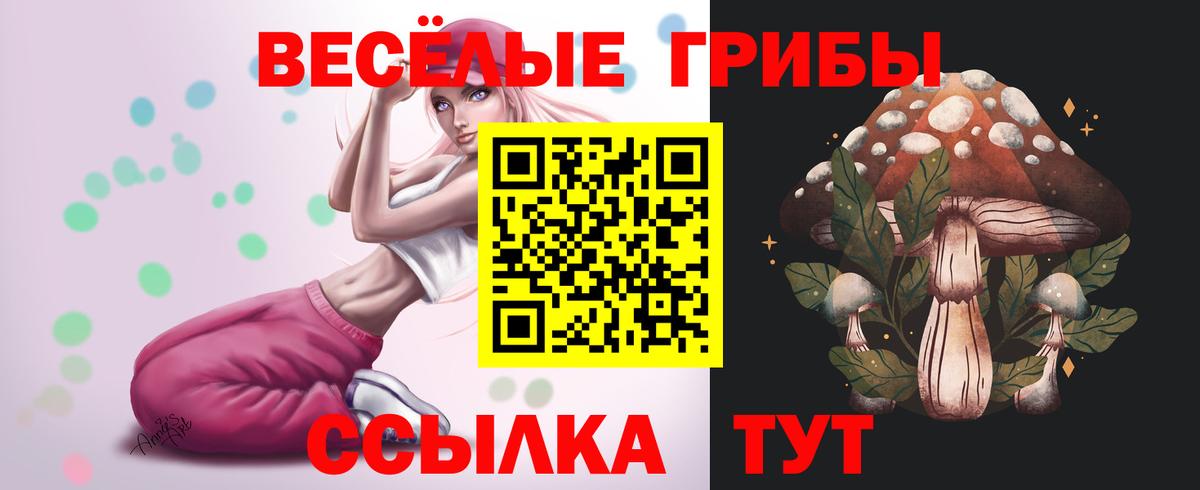 Галлюциногенные грибы Psilocybine cubensis Белебей